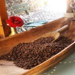 Cafe-De-Alma-Hit-Booker-3